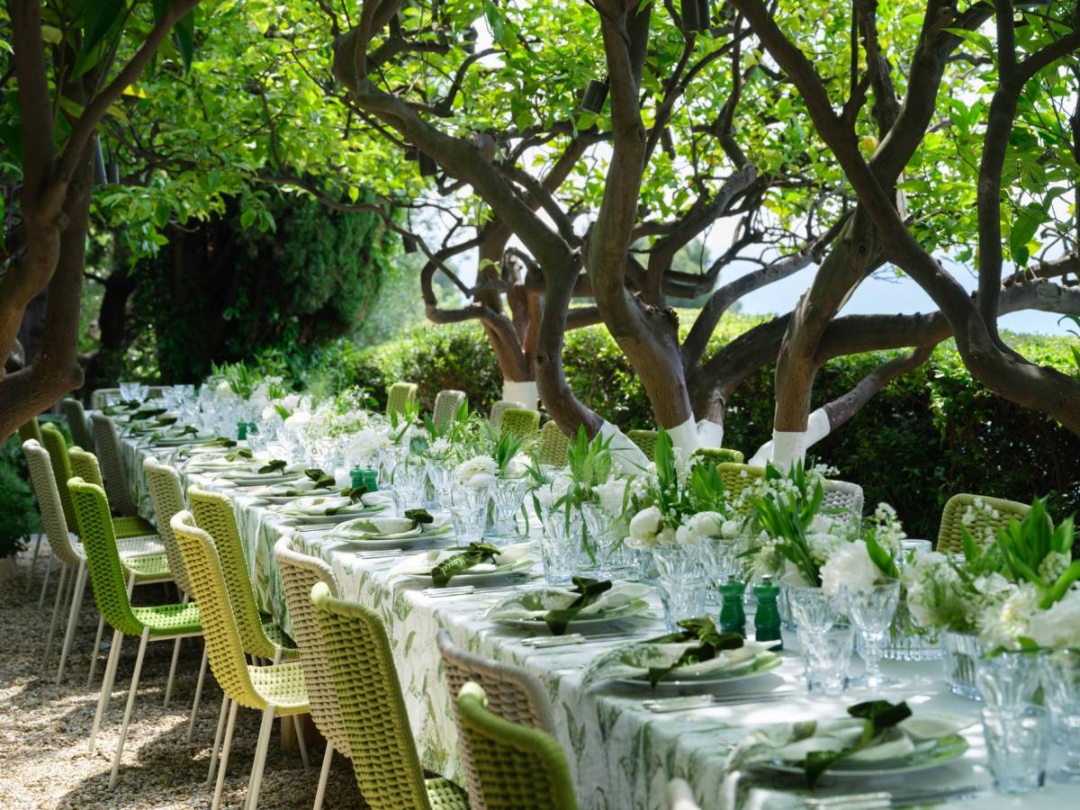 Tableware & Accessories Consulting