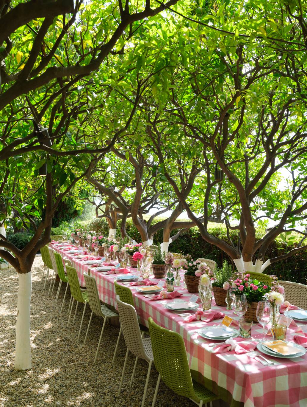 Next Gen Lunch: a Beautiful Garden Gathering on the Riviera