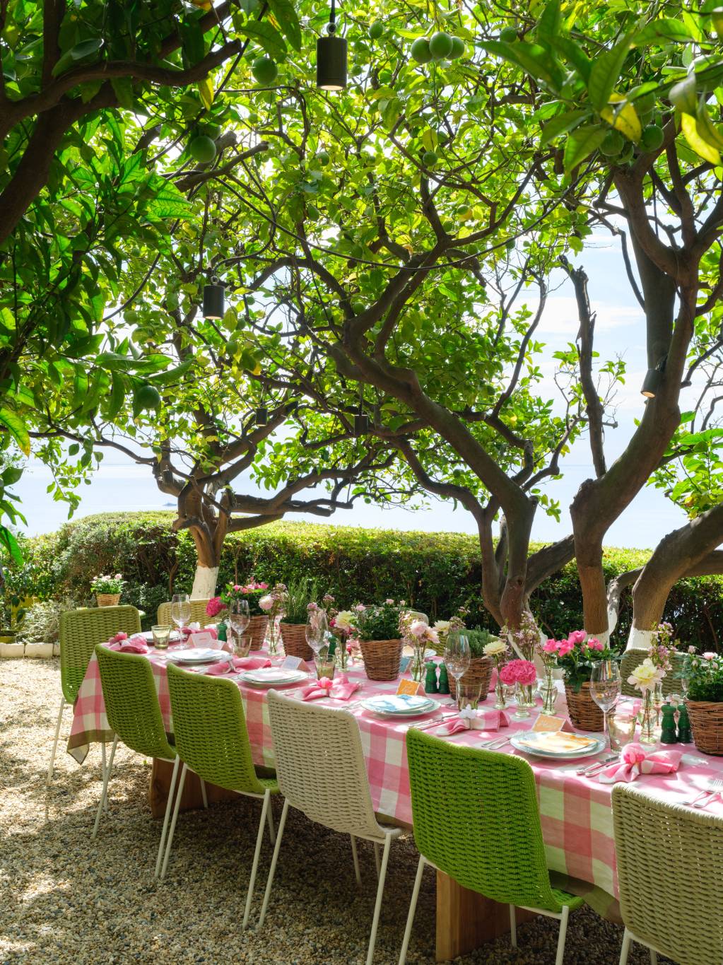 Next Gen Lunch: a Beautiful Garden Gathering on the Riviera