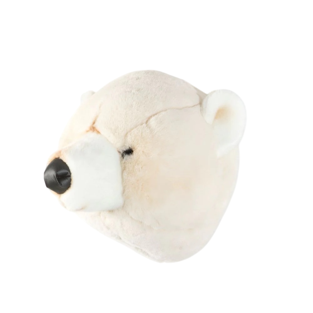 Bear Polar White Head