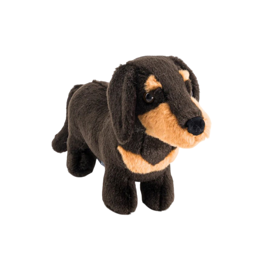 Ma peluche Teckel Eugène 25cm