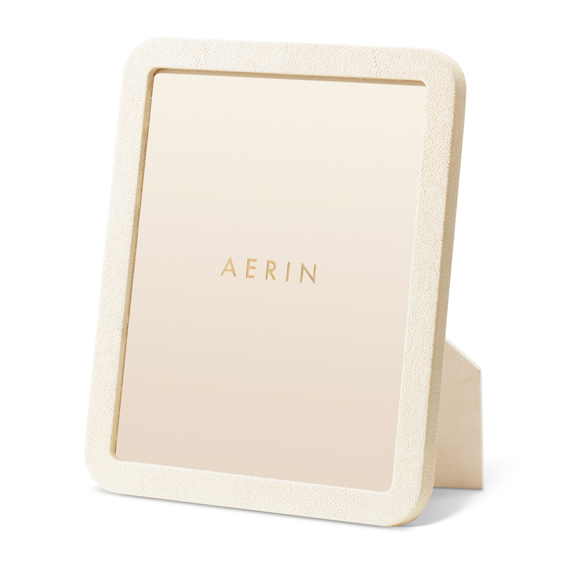 Modern Shagreen 8x10 Frame