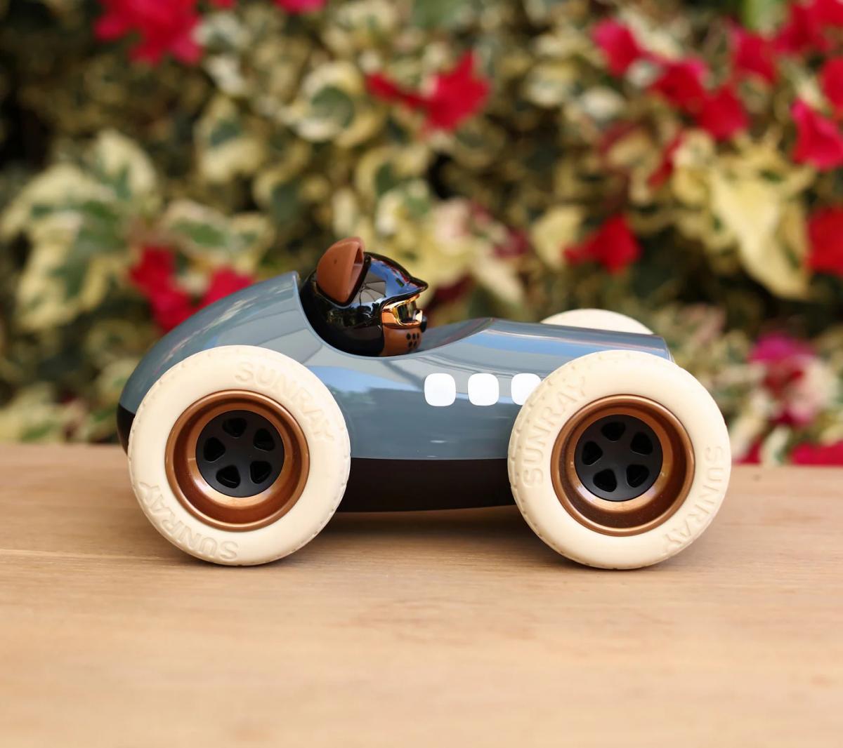 Egg Roadster Toy Car