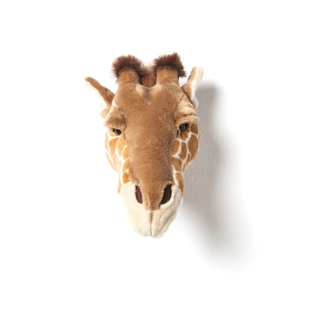 Giraffe Head