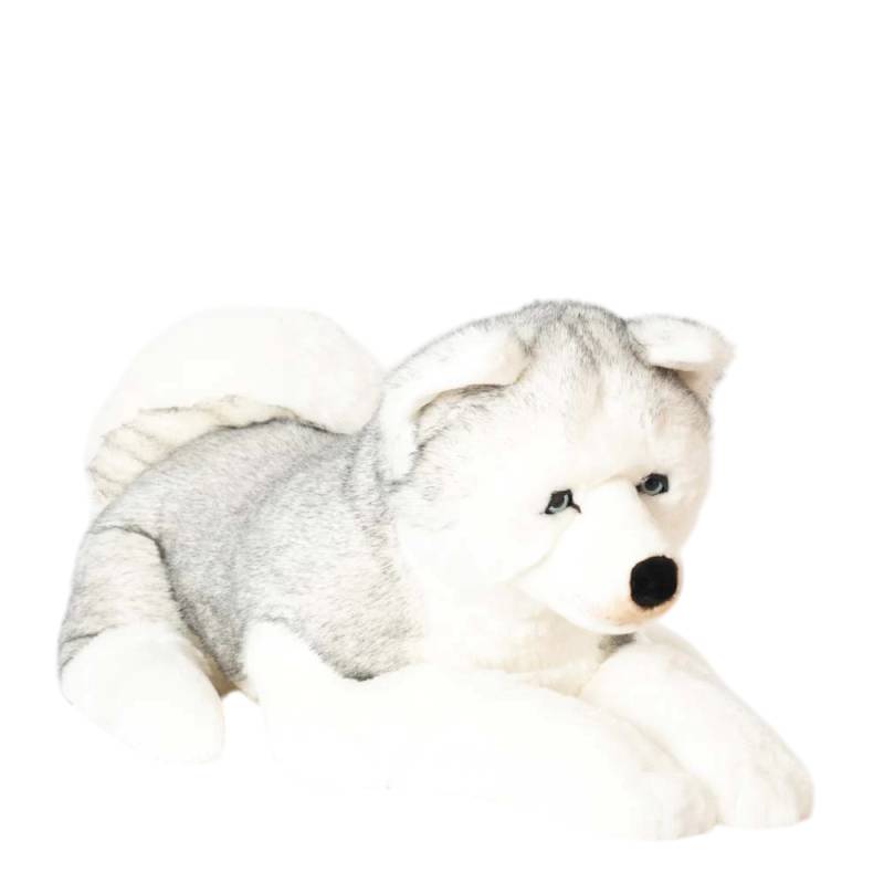 Husky Léonard Gris 100 cm