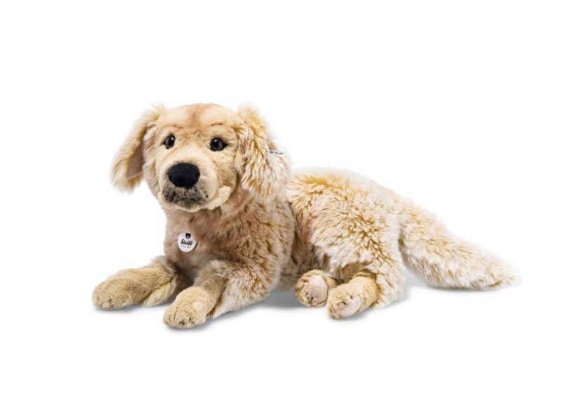 Golden Retriever Andor