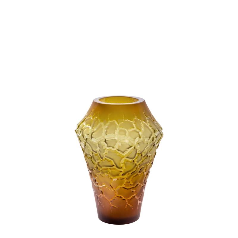 Vase Caldera Canyon