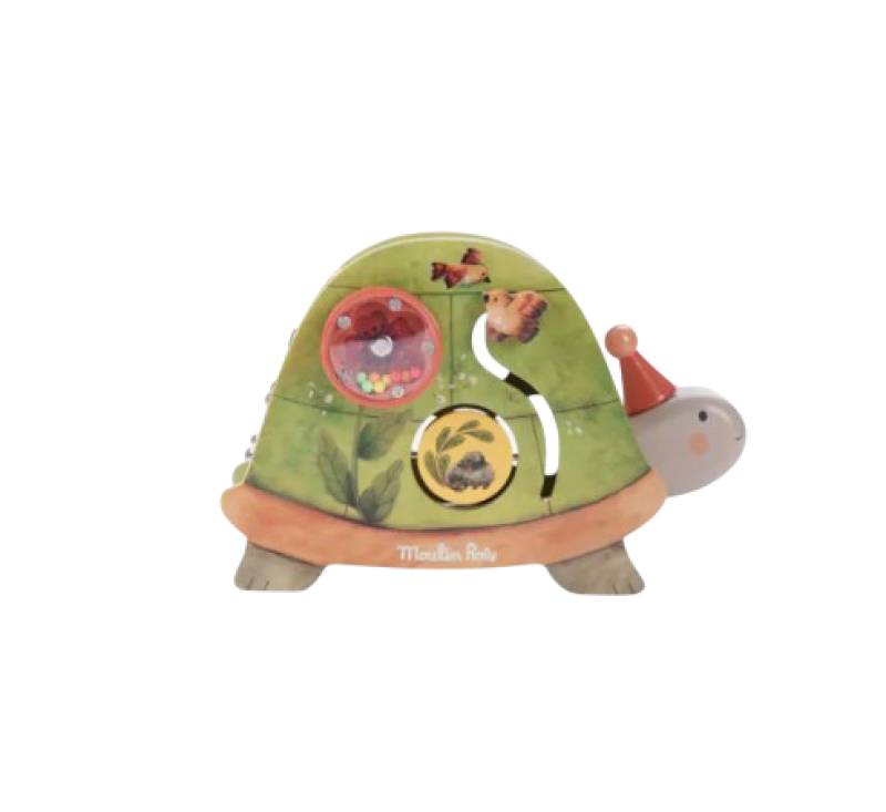 Tortue d'activités