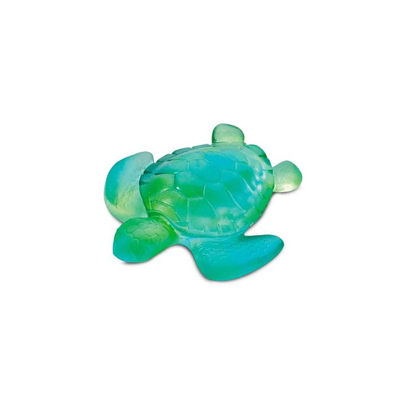 Mini Tortue turquoise