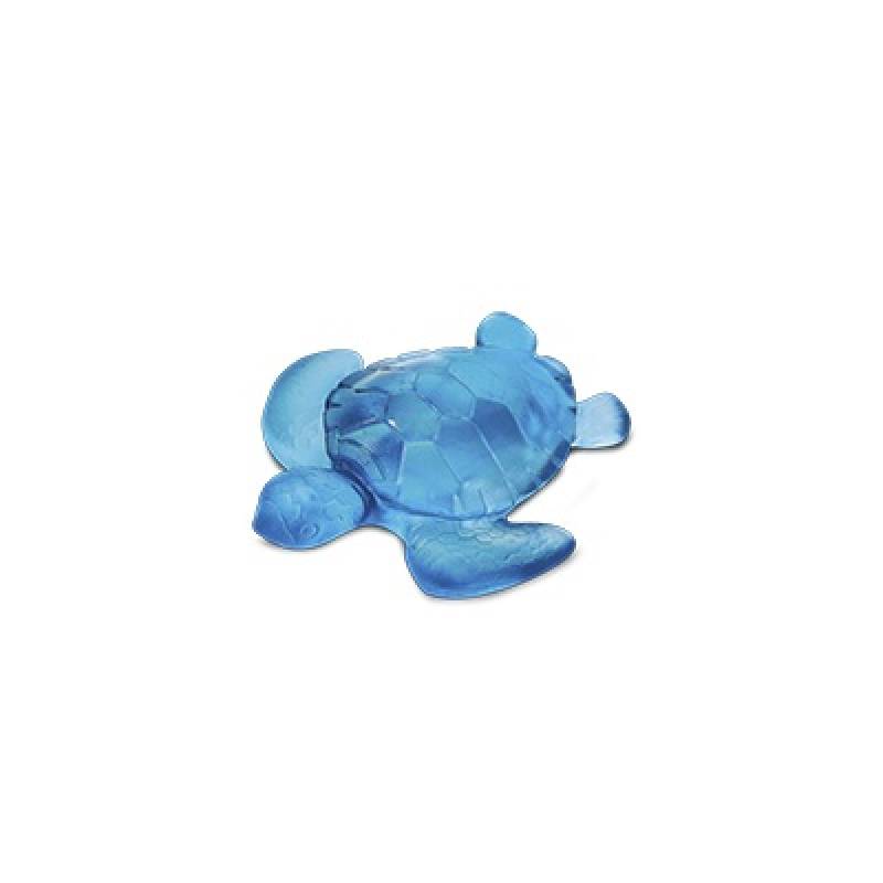 Mini Tortue Bleu