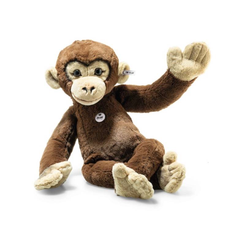 Chimpanzé Jocko