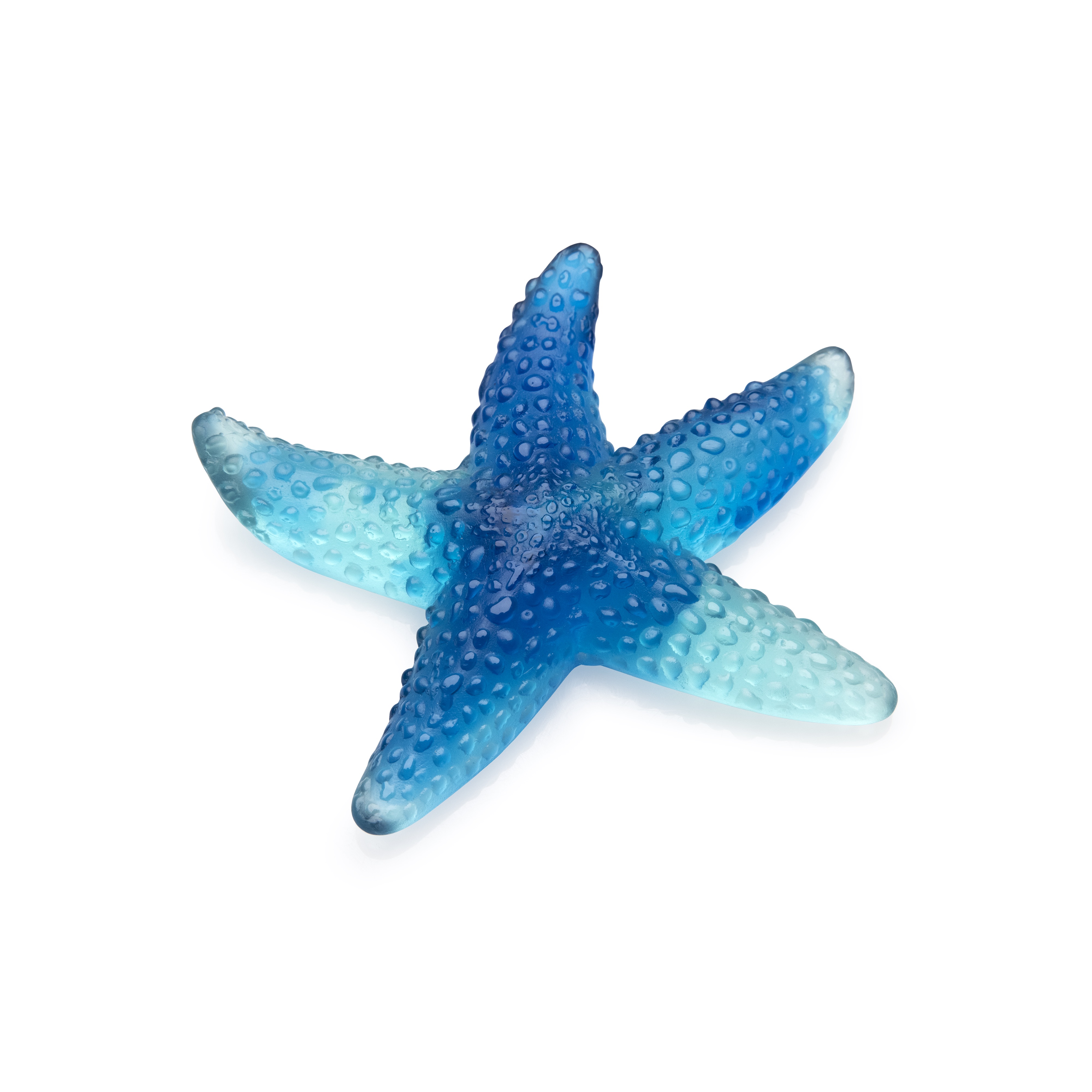 Mer de Corail Blue Starfish