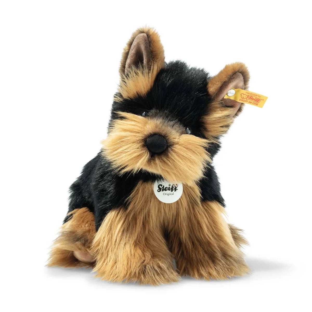 Herkules Yorkshire Terrier