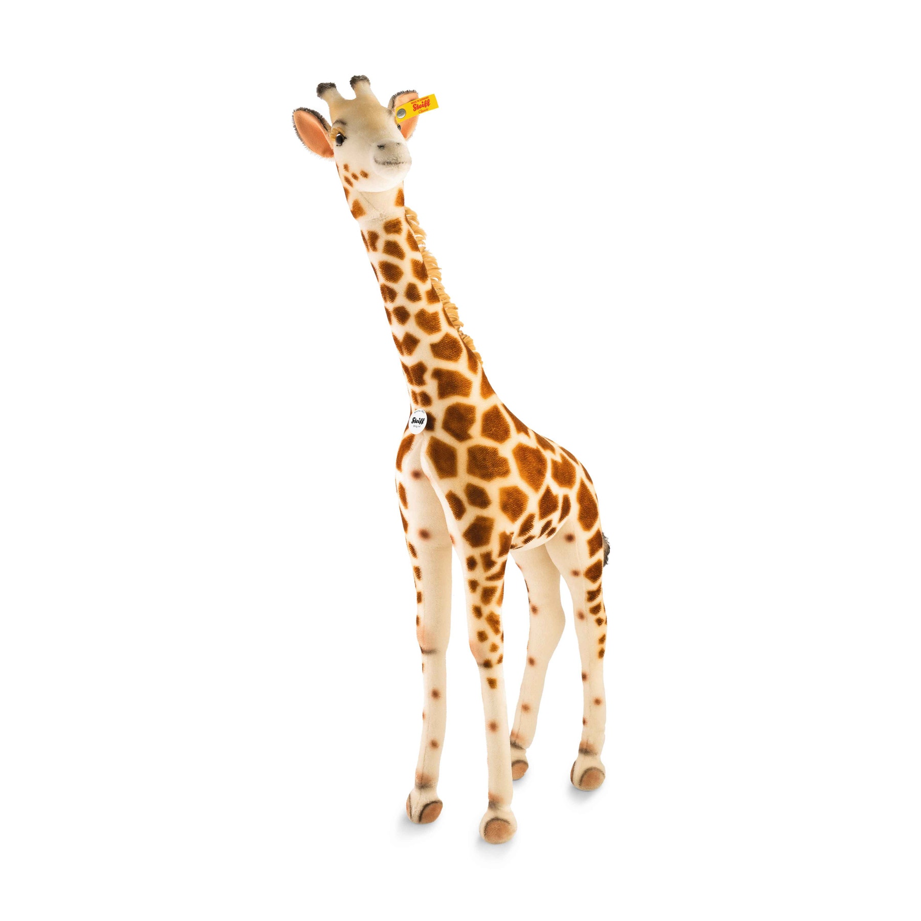 Studio Giraffe