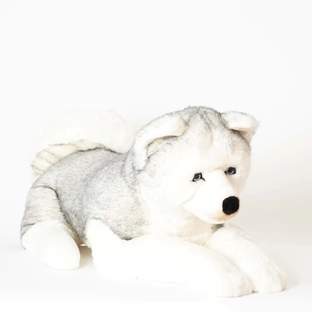 Husky Léonard Gris 100 cm