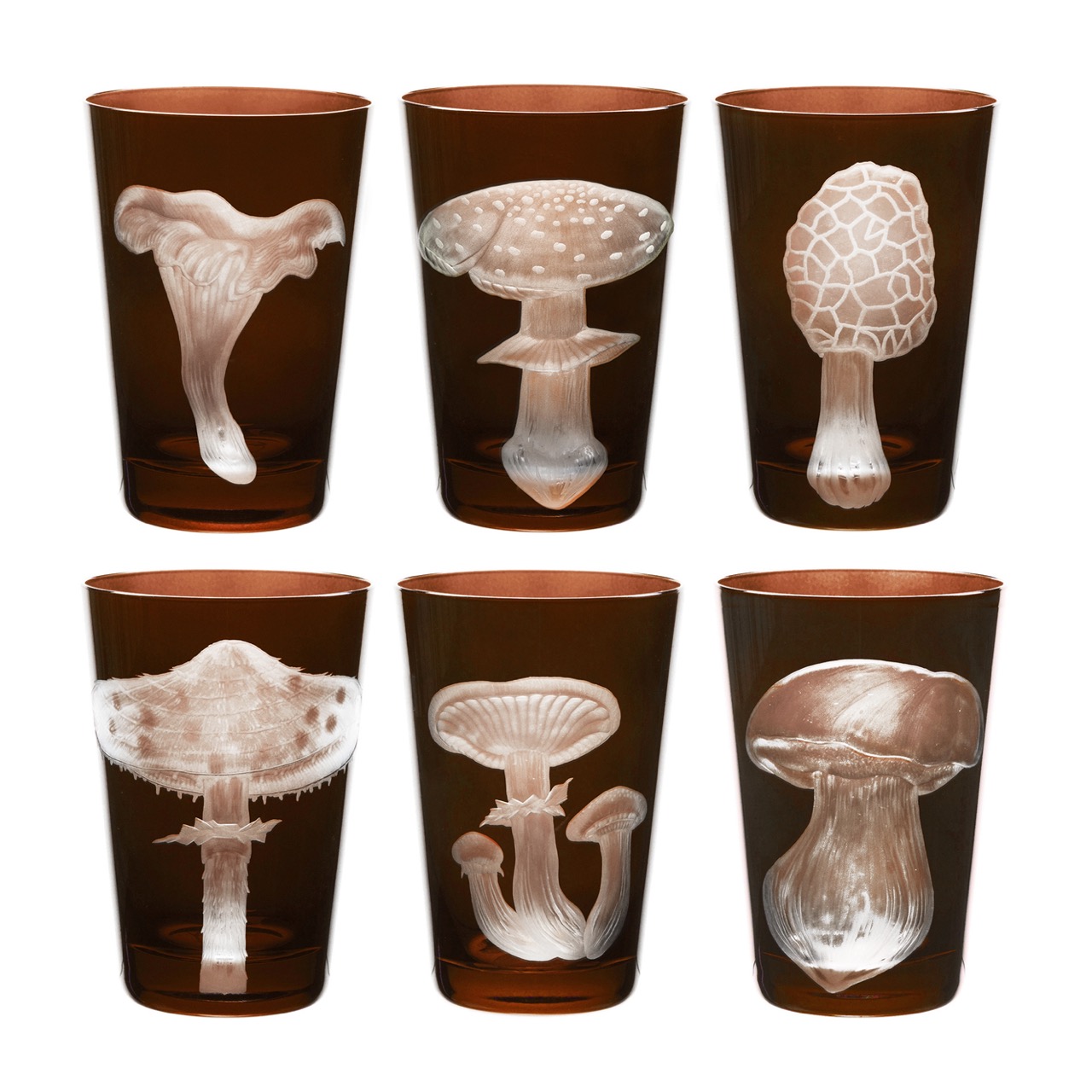 Mushrooms Honey Fungus Tumbler 325ml Walnut